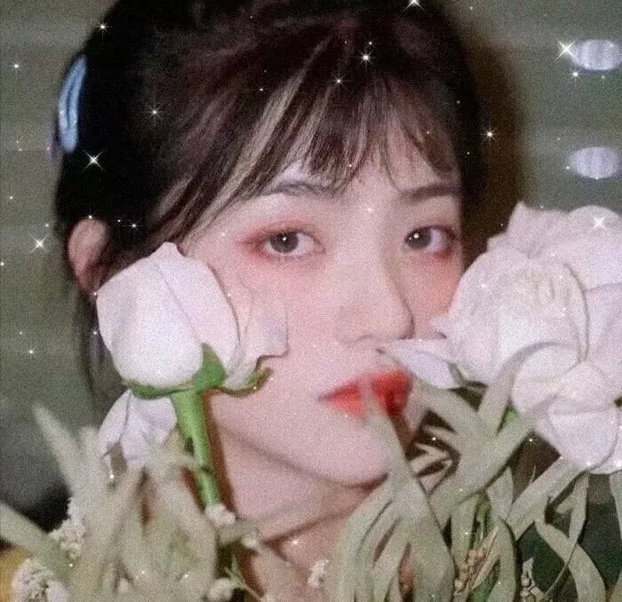 烽火丽人 在线观看