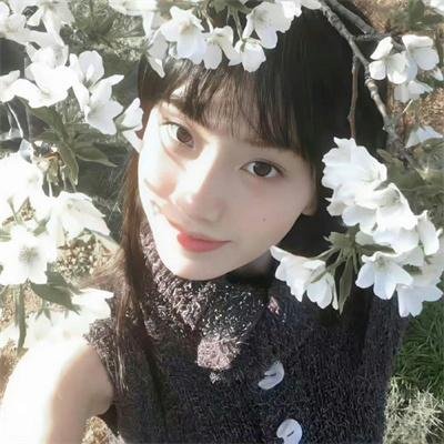 齐格菲歌舞团 在线观看